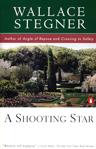 A Shooting Star book cover