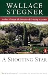 A Shooting Star