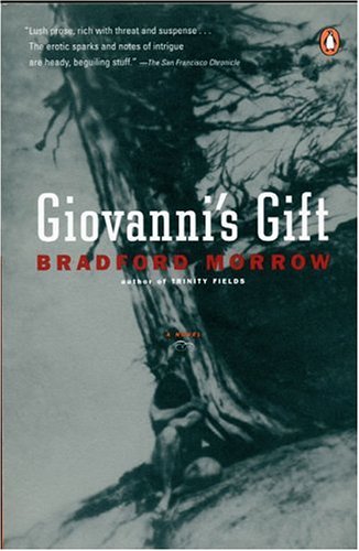 Giovanni's Gift book cover