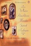 Where Peachtree Meets Sweet Auburn: A Saga of Race and Family