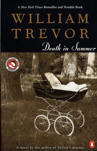 Death in Summer book cover