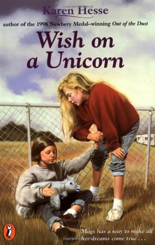 Wish on a Unicorn book cover