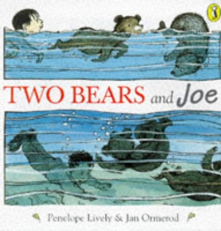 Two Bears and Joe book cover