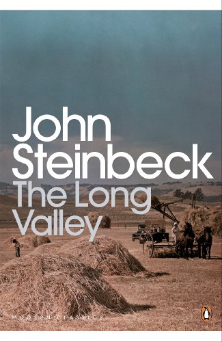 The Long Valley book cover