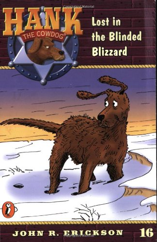 Lost in the Blinded Blizzard book cover