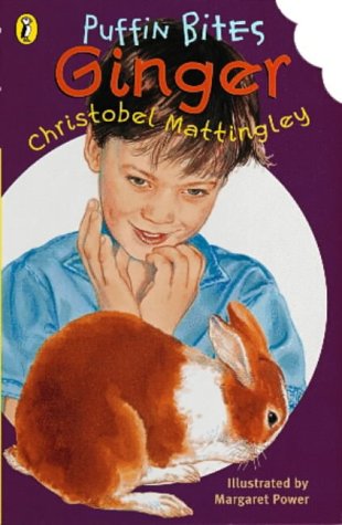 Ginger book cover