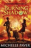 Amazon cover image