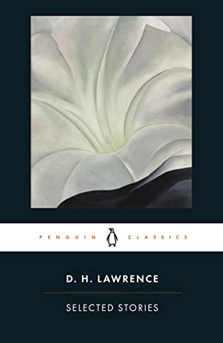 Selected Stories book cover
