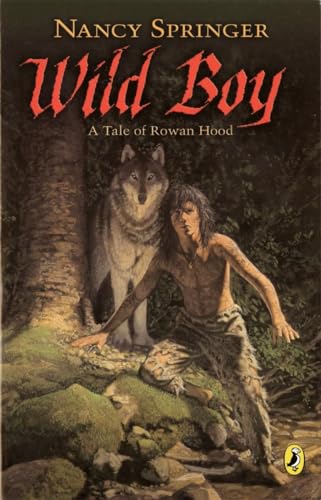 Wild Boy book cover