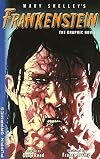 Mary Shelley's Frankenstein: The Graphic Novel (Puffin Graphics)