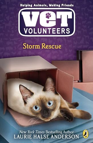 Storm Rescue book cover