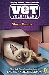 Storm Rescue