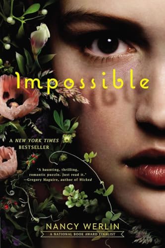 Impossible book cover