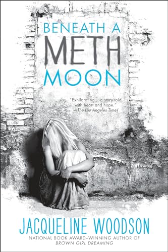 Beneath a Meth Moon book cover