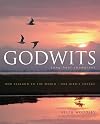 Godwits : long-haul champions