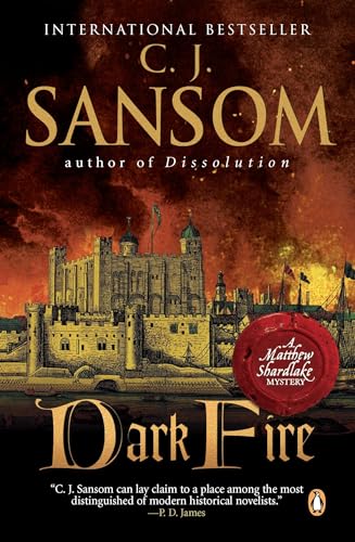 Dark Fire book cover