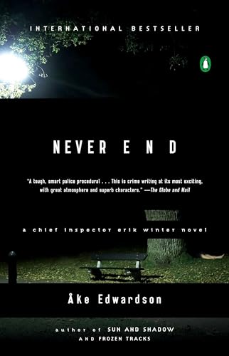 Never End book cover