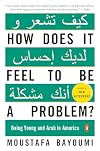 How Does It Feel to Be a Problem?: Being Young and Arab in America