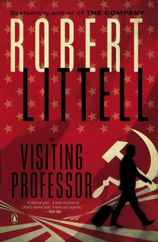The Visiting Professor book cover