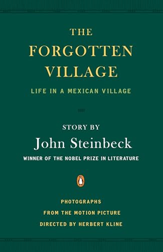 The Forgotten Village book cover