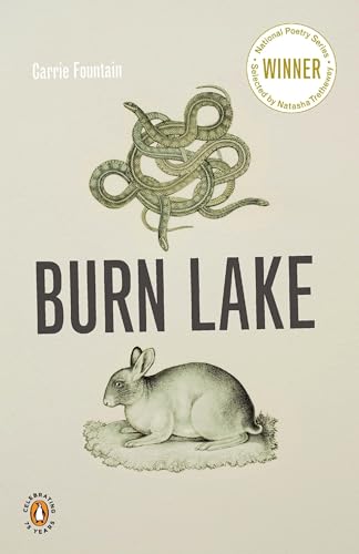 Burn Lake book cover