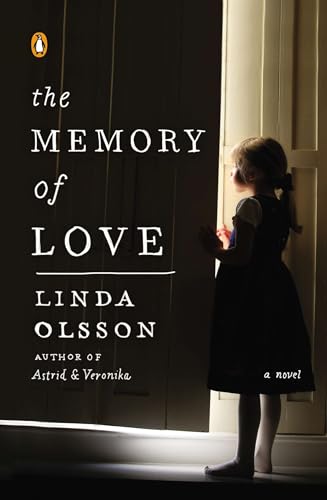 The Memory of Love book cover