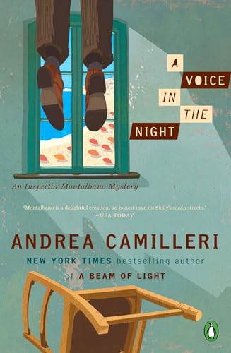 A Voice in the Night book cover