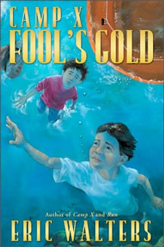 Fool's Gold book cover