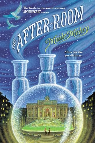 The After-Room book cover