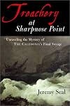 The Wreck at Sharpnose Point