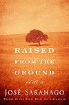 Raised from the ground