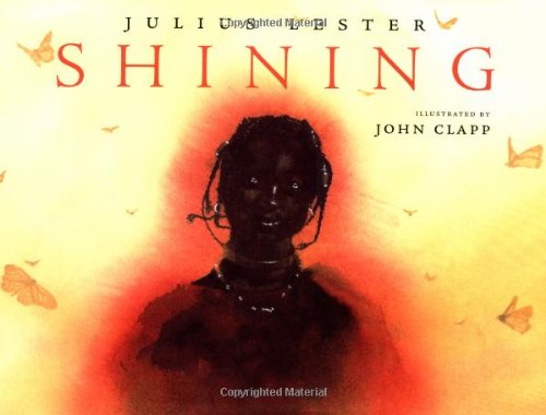 Shining book cover