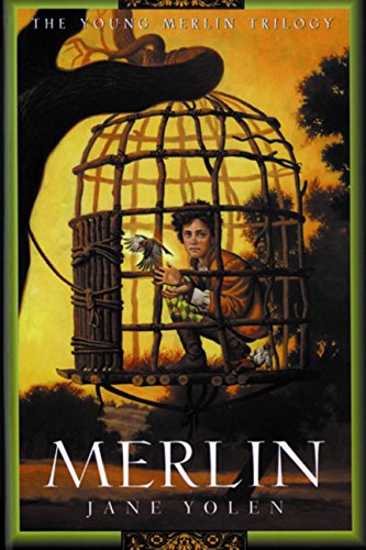 Merlin book cover