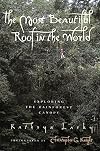 The Most Beautiful Roof in the World: Exploring the Rainforest Canopy