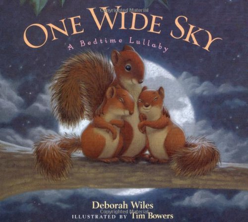 One Wide Sky book cover