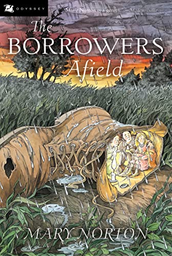 The Borrowers Afield book cover