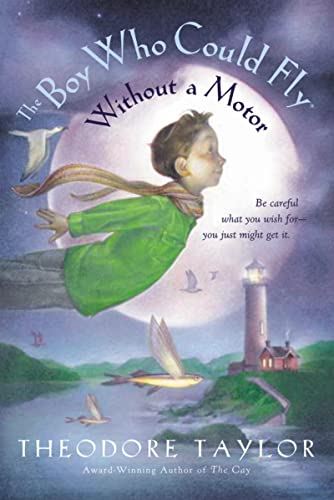 Cover of The Boy Who Could Fly Without a Motor