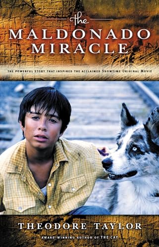 The Maldonado Miracle book cover