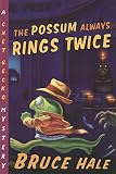 Amazon cover image
