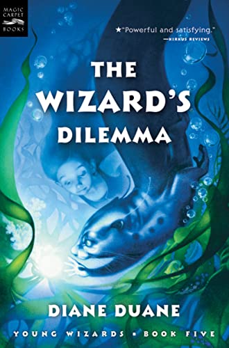 The Wizard's Dilemma book cover