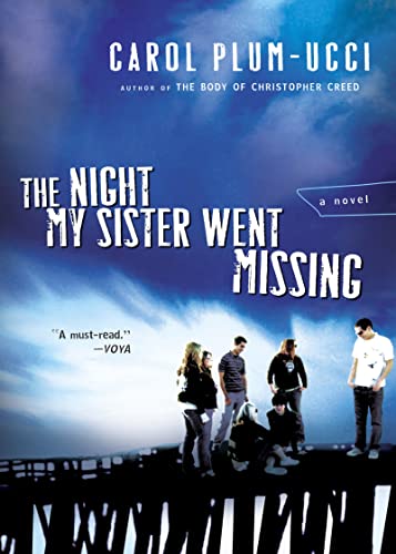 Cover of Night My Sister Went Missing