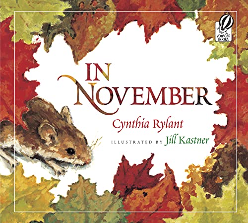 In November book cover