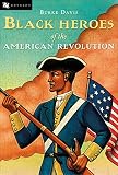 Black Heroes Of The American Revolution Odyssey Books