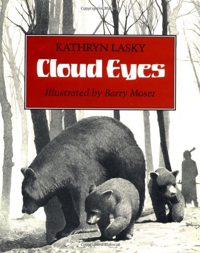 Cloud Eyes book cover
