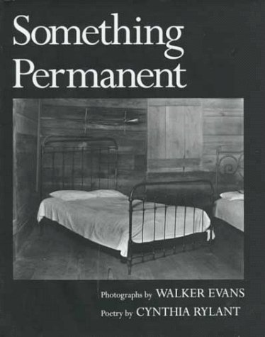 Something Permanent book cover