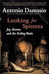 Looking for Spinoza: Joy, Sorrow, and the Feeling Brain