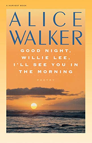 Good Night, Willie Lee, I'll See You in the Morning book cover