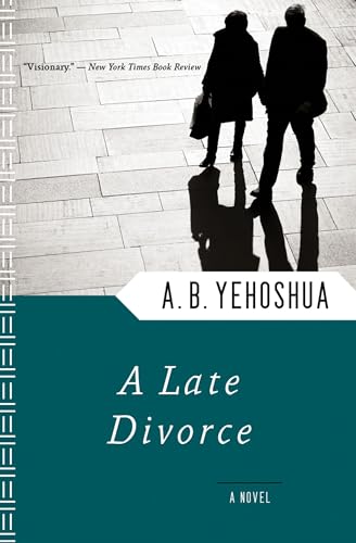 A Late Divorce book cover