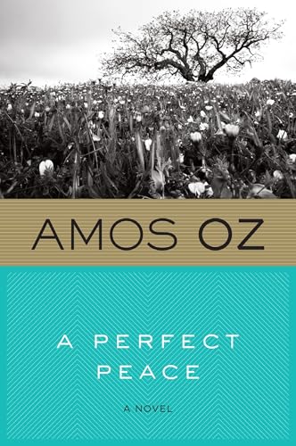 A Perfect Peace book cover
