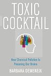 Toxic Cocktail: How Chemical Pollution Is Poisoning Our Brains